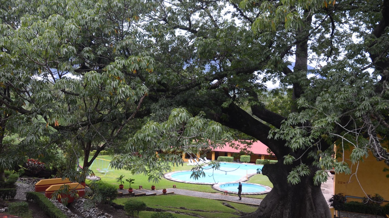 Photo of Outdoor in Arroyo Seco