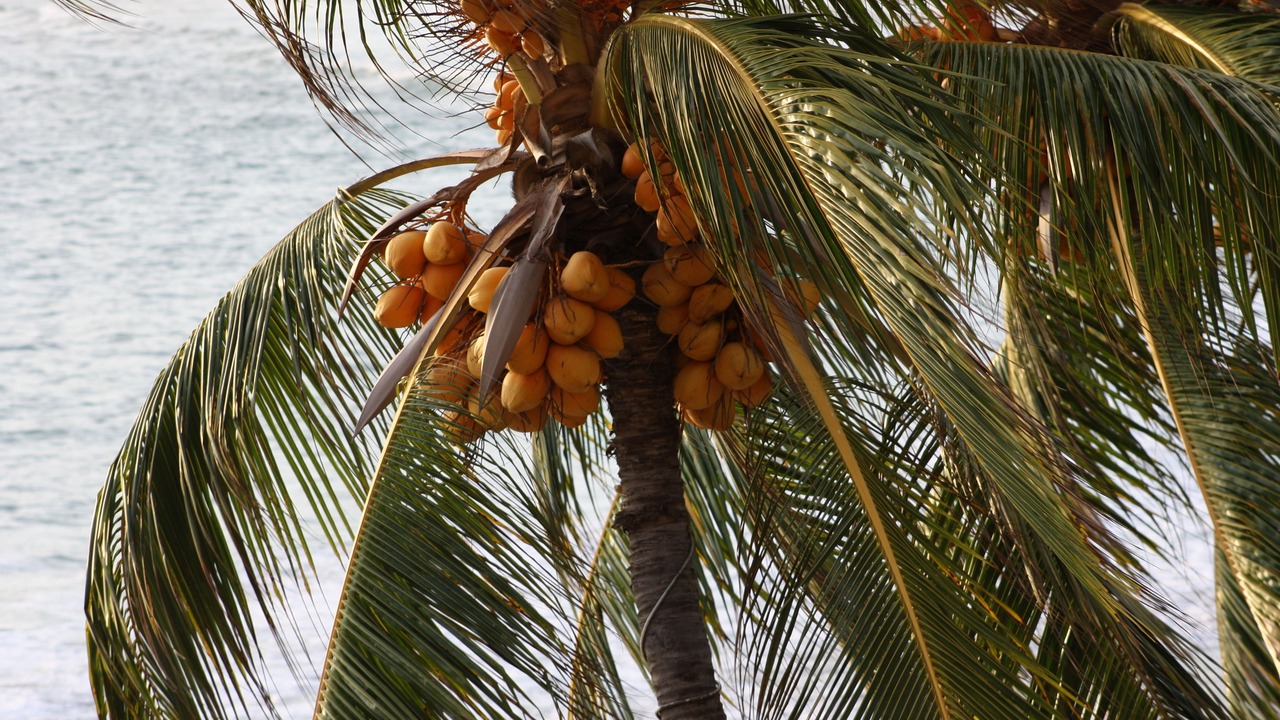 Photo of Outdoor in Peninsulas de Santiago