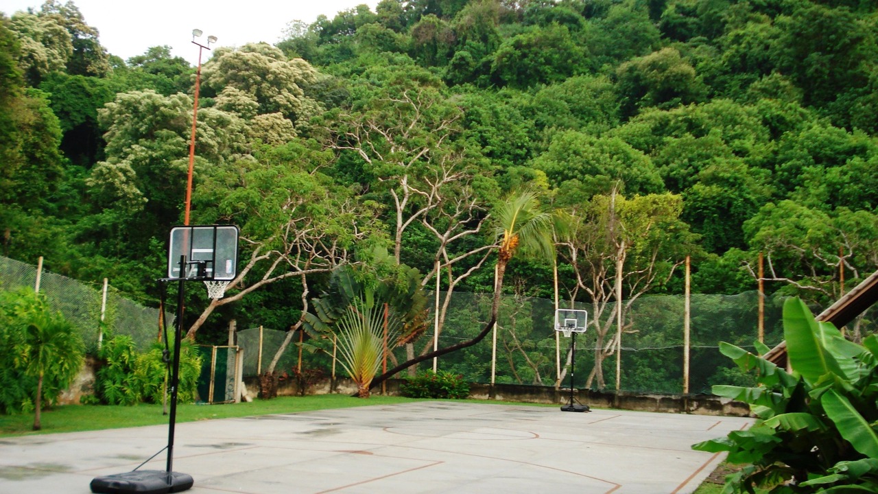 Photo of Others in Peninsulas de Santiago