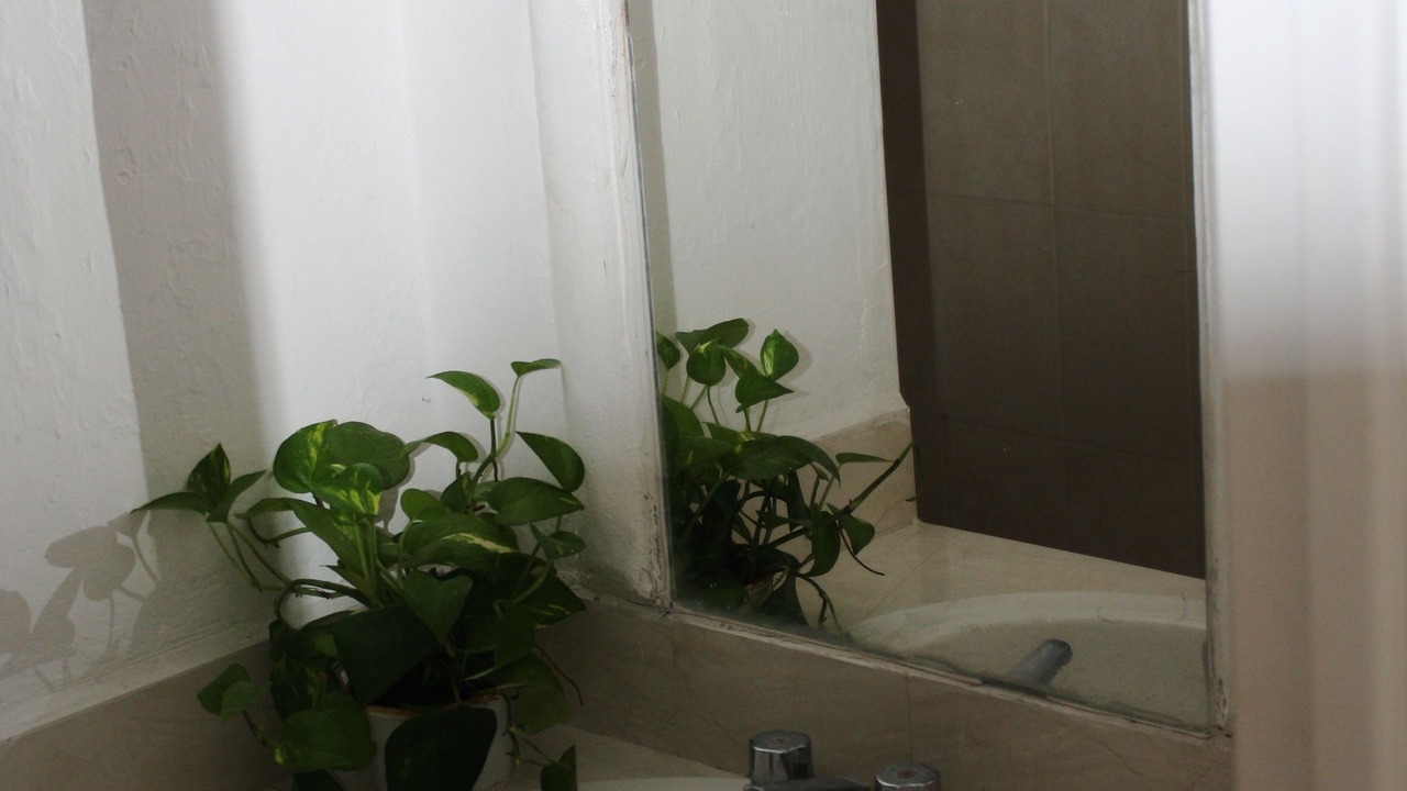 Photo of Bathroom in Peninsulas de Santiago