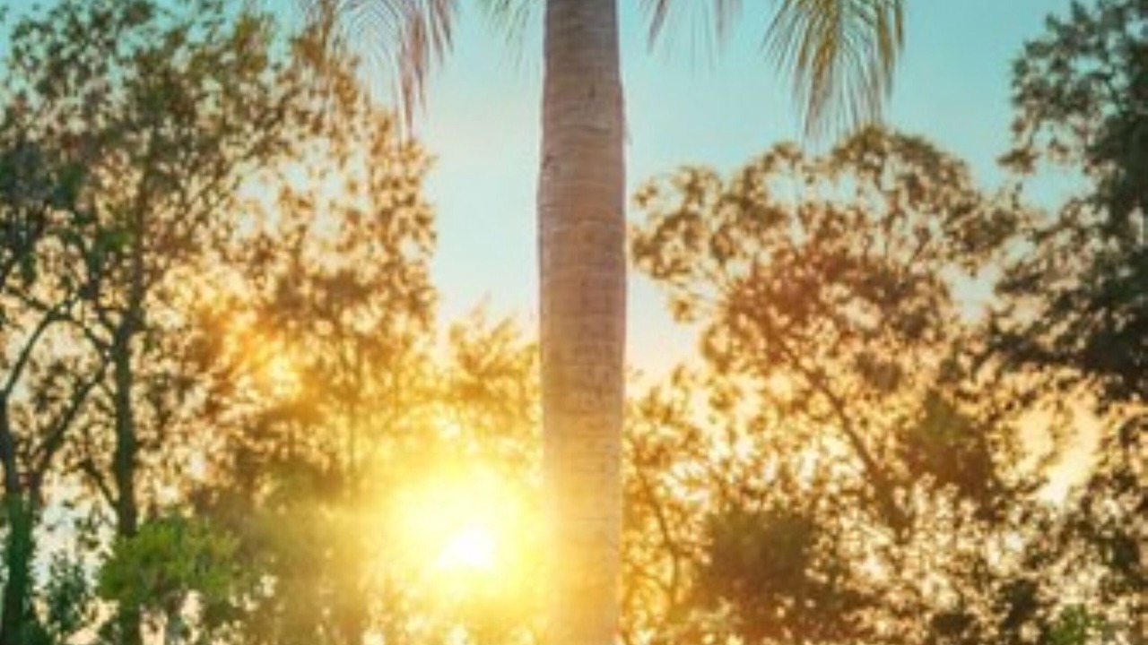 Photo of Outdoor in Ciudad Victoria