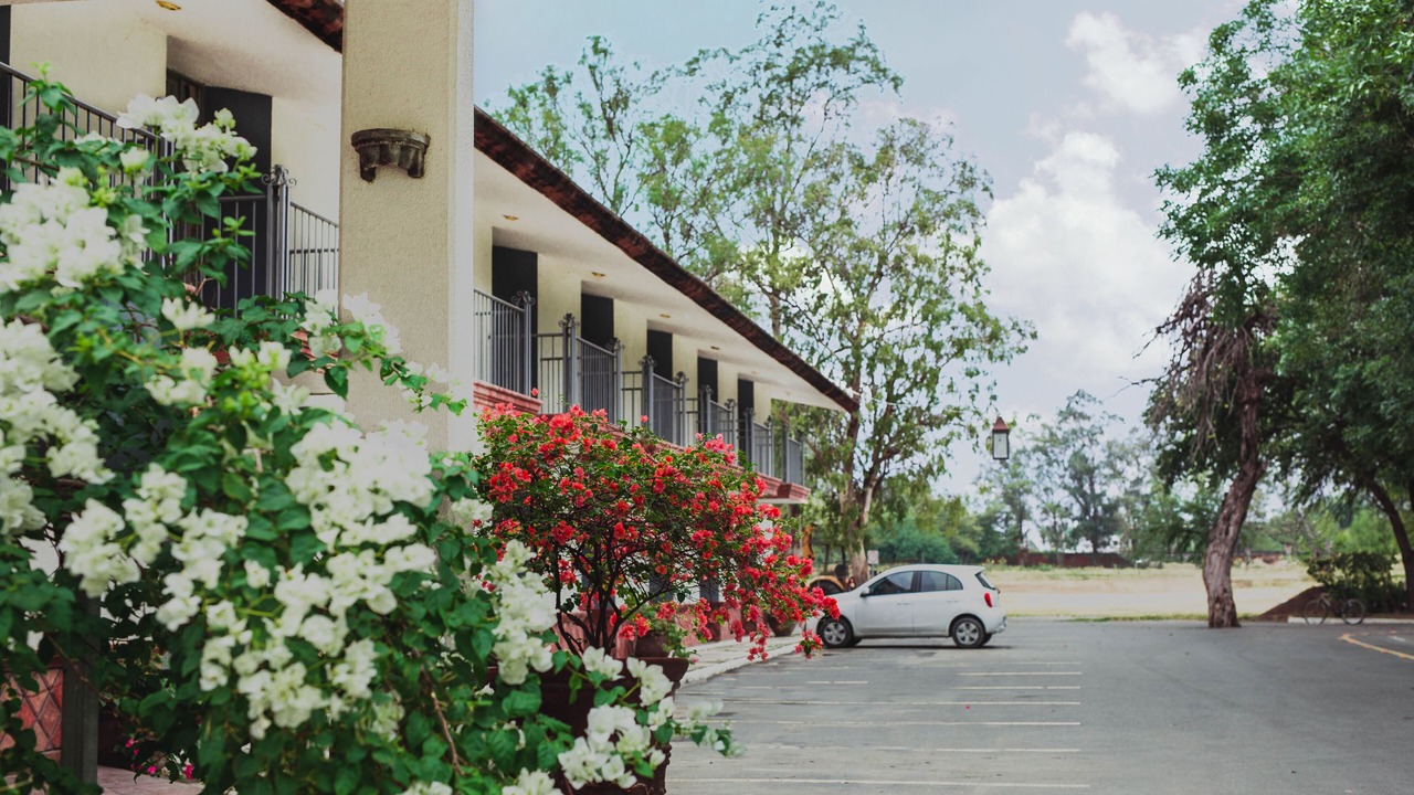 Photo of Others in Ciudad Victoria