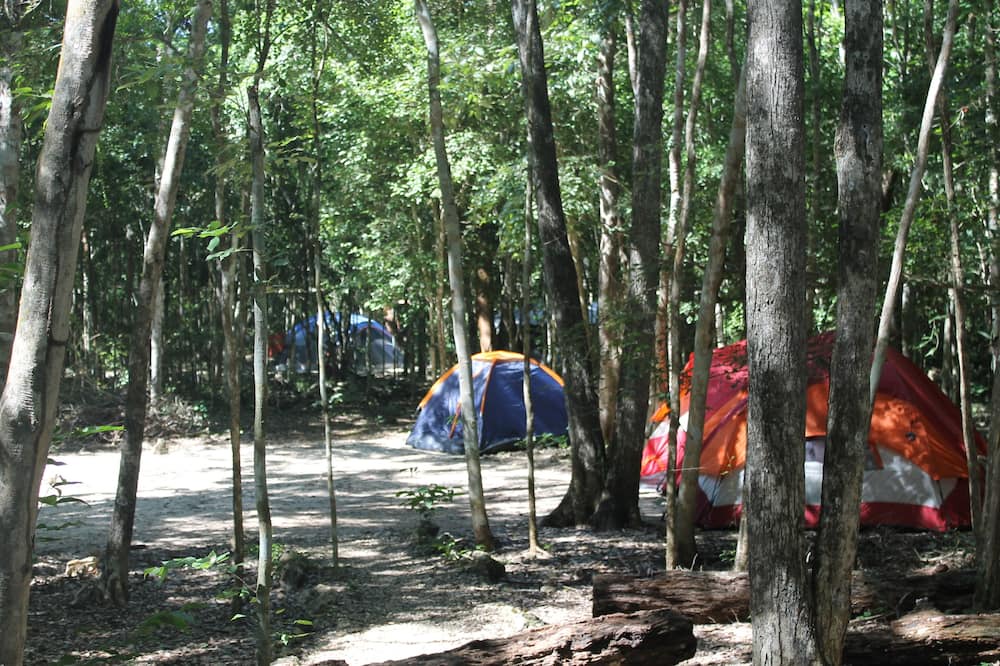 Photo of Others in Calakmul