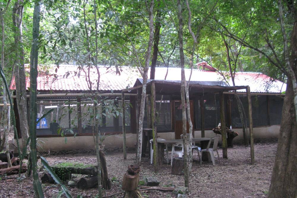 Photo of Outdoor in Calakmul