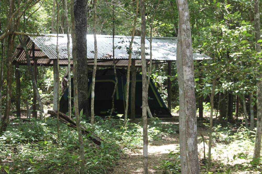 Photo of Bedroom in Calakmul