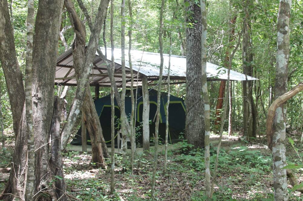 Photo of Bedroom in Calakmul