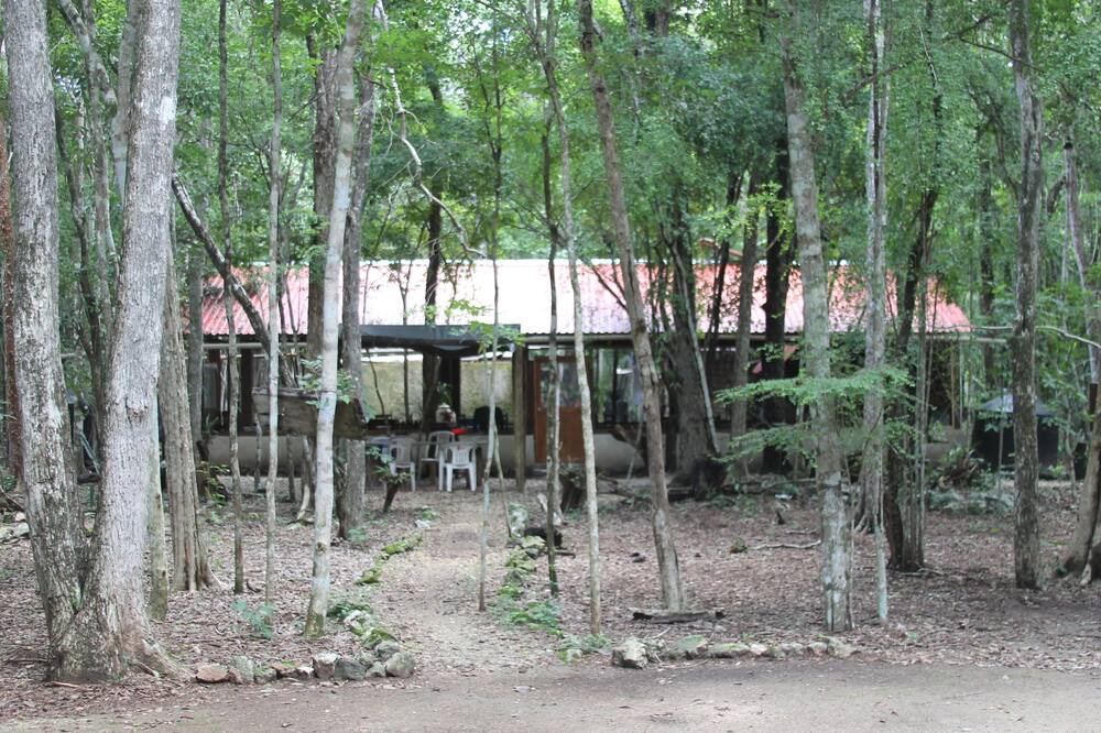 Photo of Bedroom in Calakmul