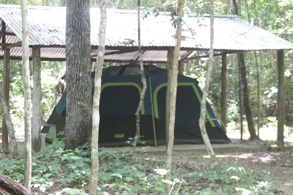 Photo of Bedroom in Calakmul