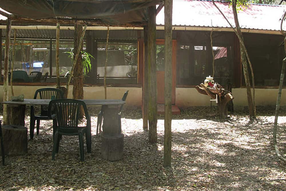 Photo of Outdoor in Calakmul
