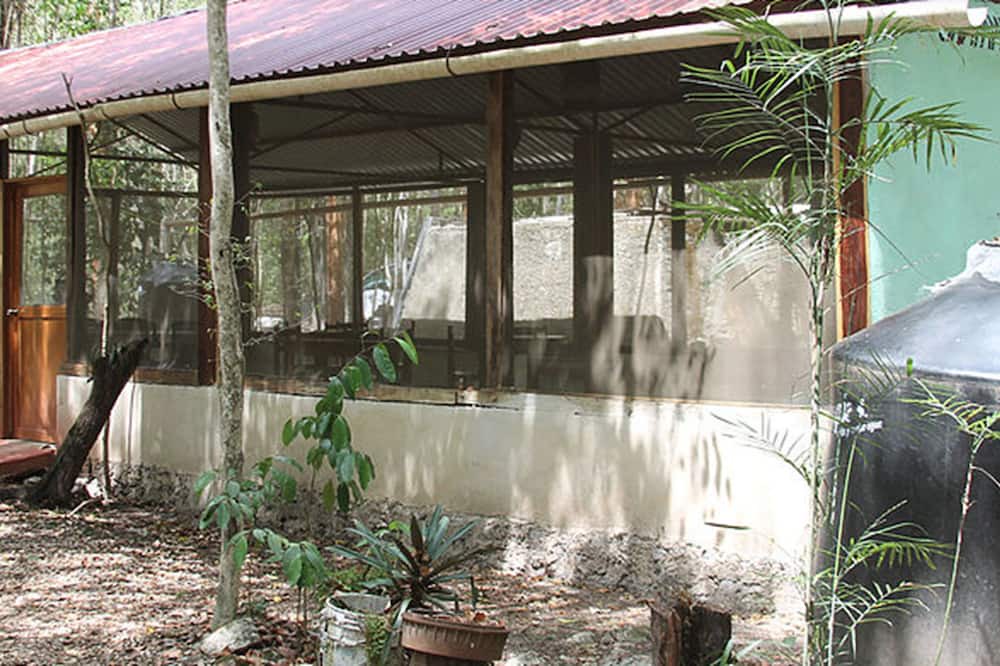 Photo of Outdoor in Calakmul