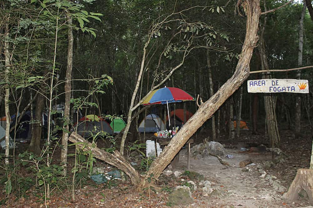 Photo of Outdoor in Calakmul