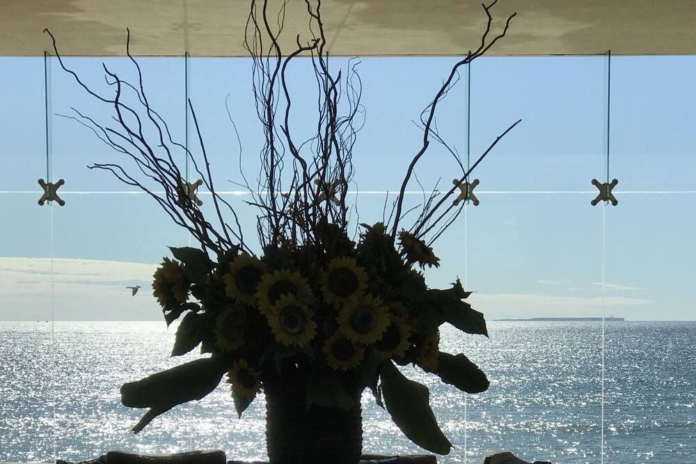 Photo of Others in Ensenada