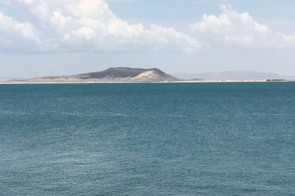 Photo of Others in Cholla Bay