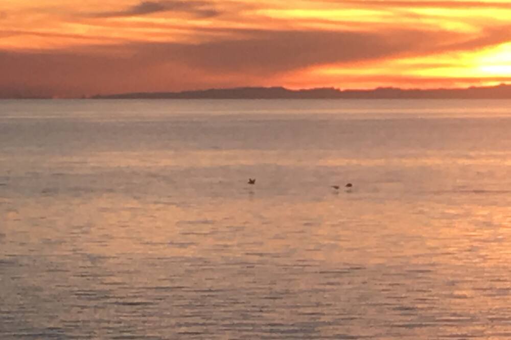 Photo of Others in Cholla Bay