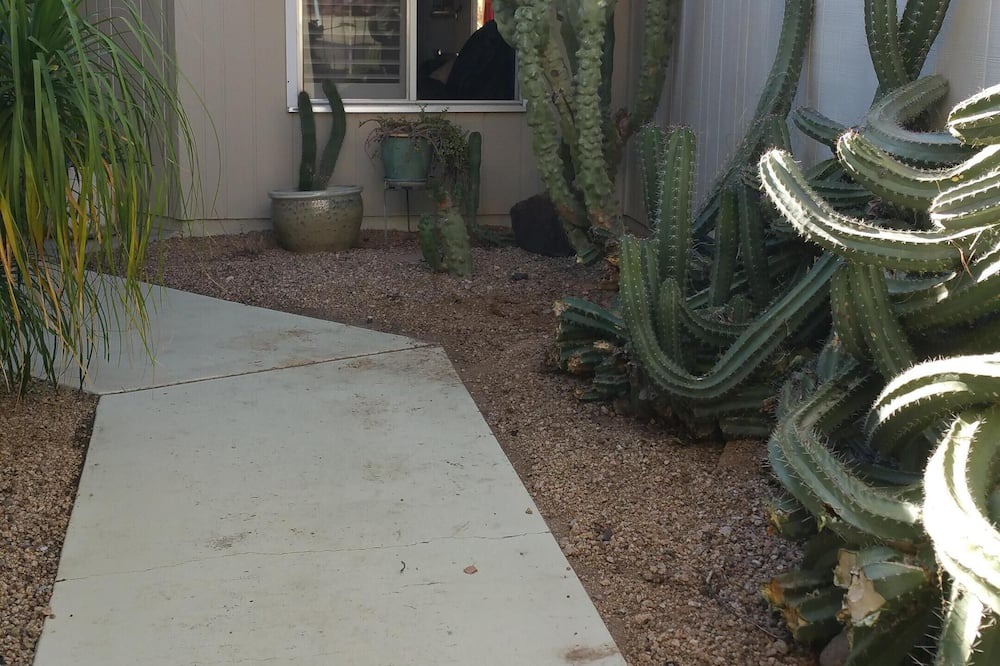Photo of Outdoor in Sun City