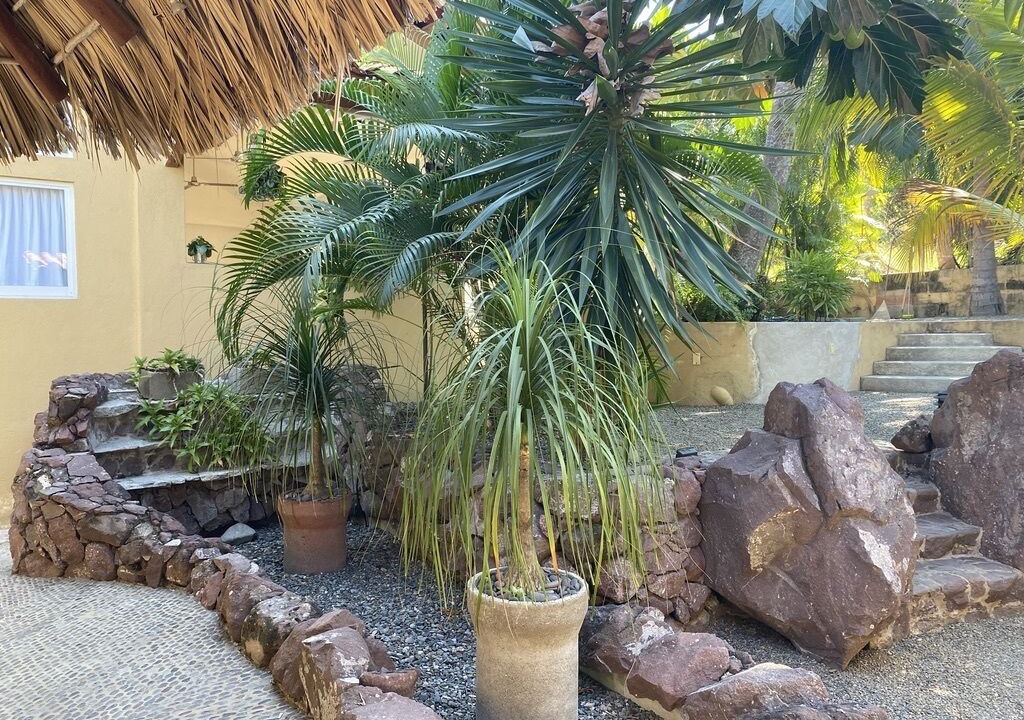 Photo of Outdoor in Zihuatanejo