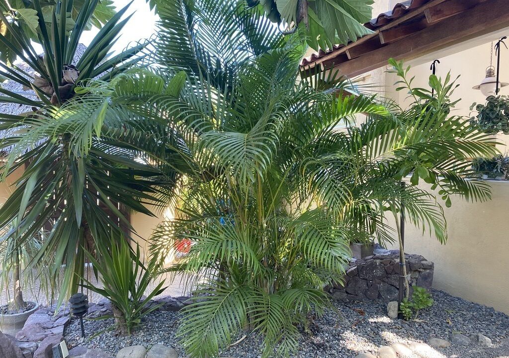 Photo of Outdoor in Zihuatanejo