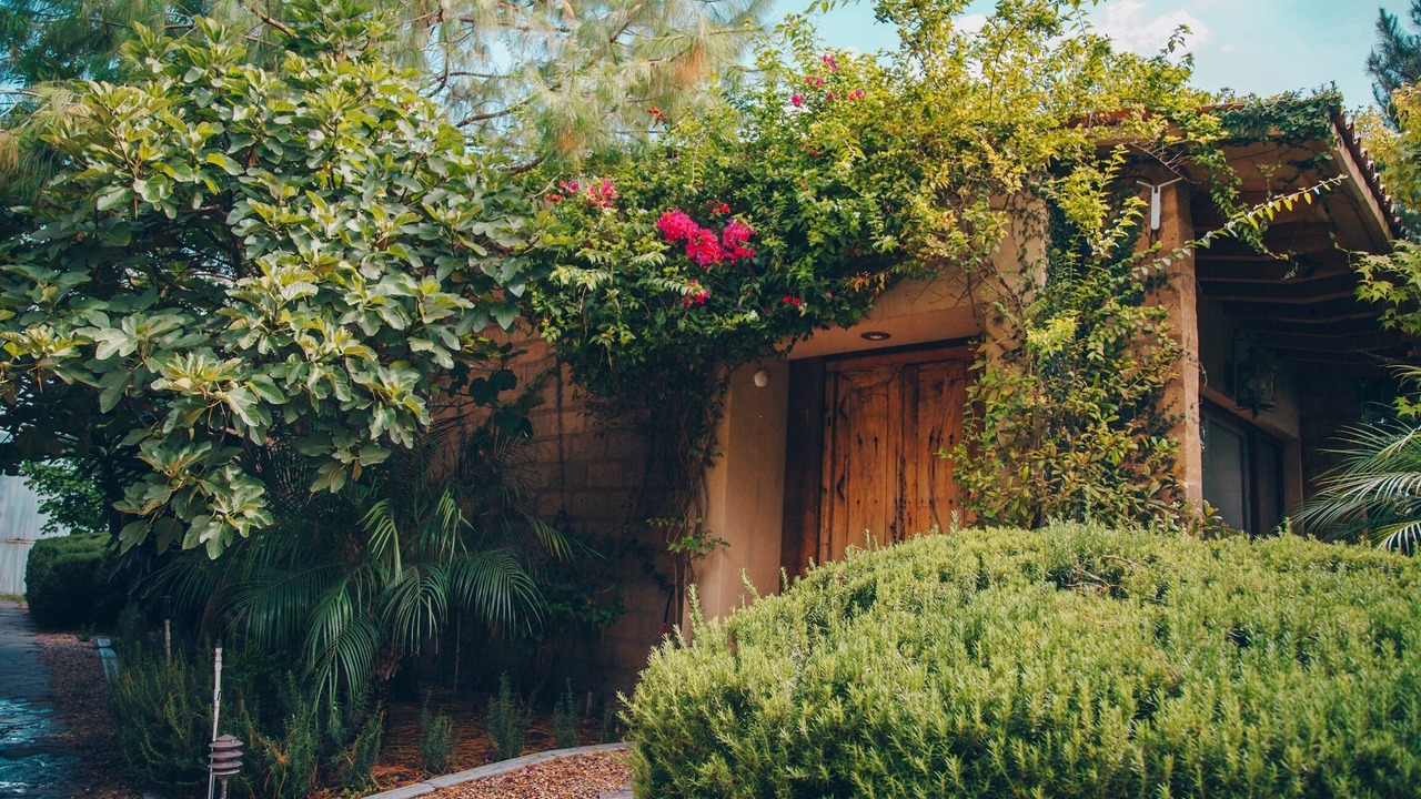 Photo of Outdoor in Queretaro