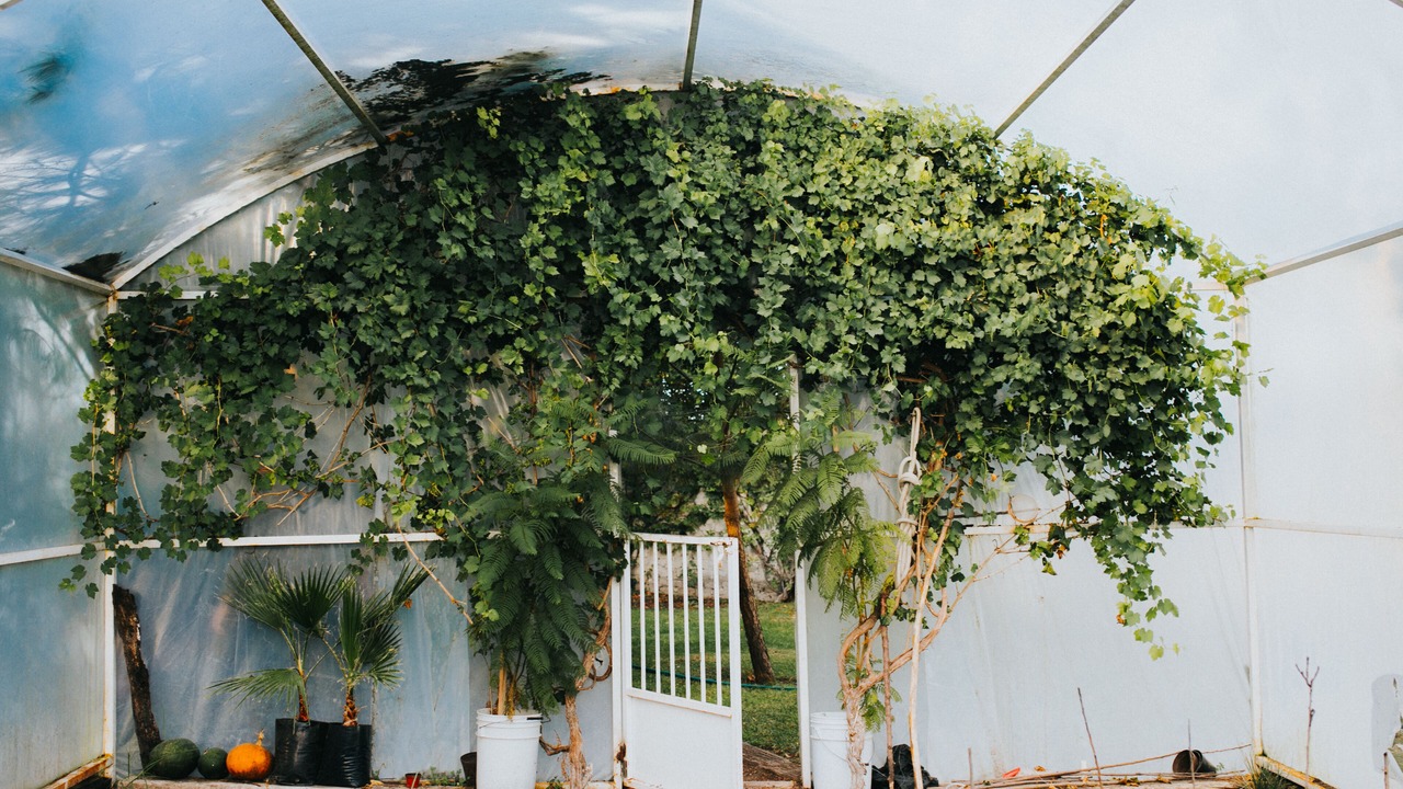 Photo of Outdoor in Queretaro