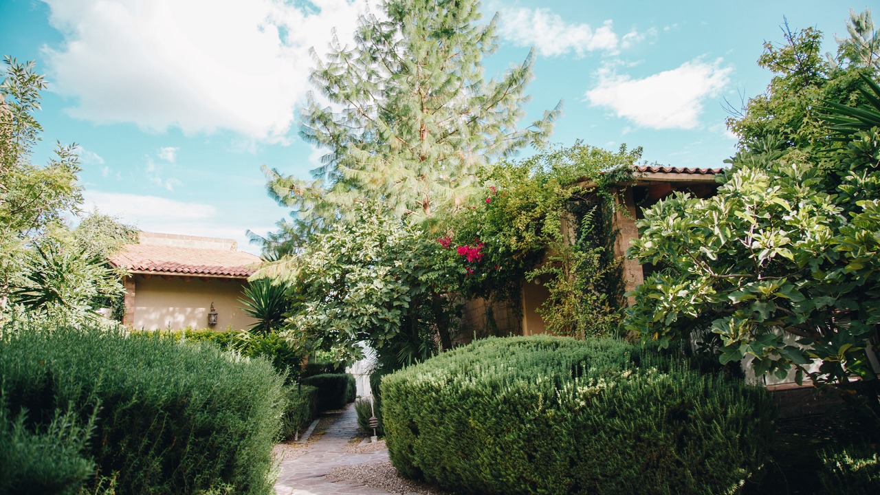 Photo of Outdoor in Queretaro