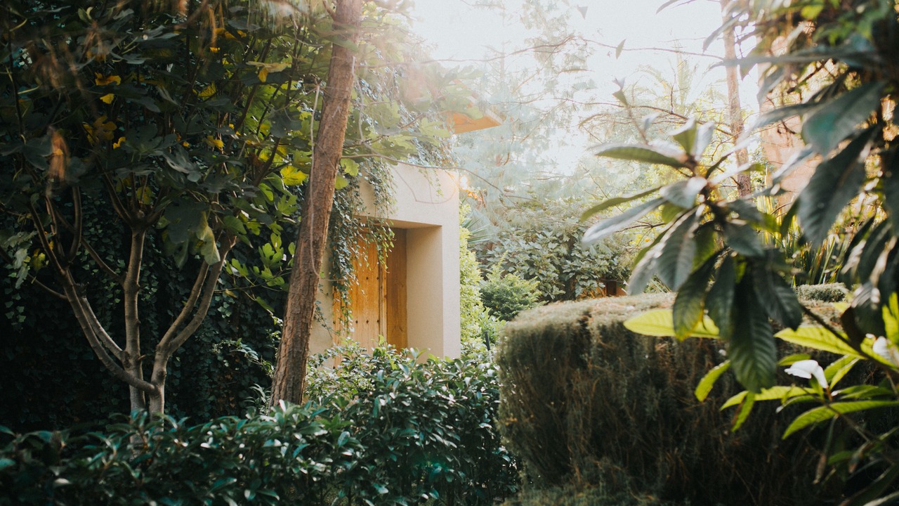 Photo of Outdoor in Queretaro
