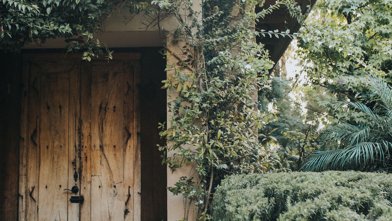 Photo of Outdoor in Queretaro