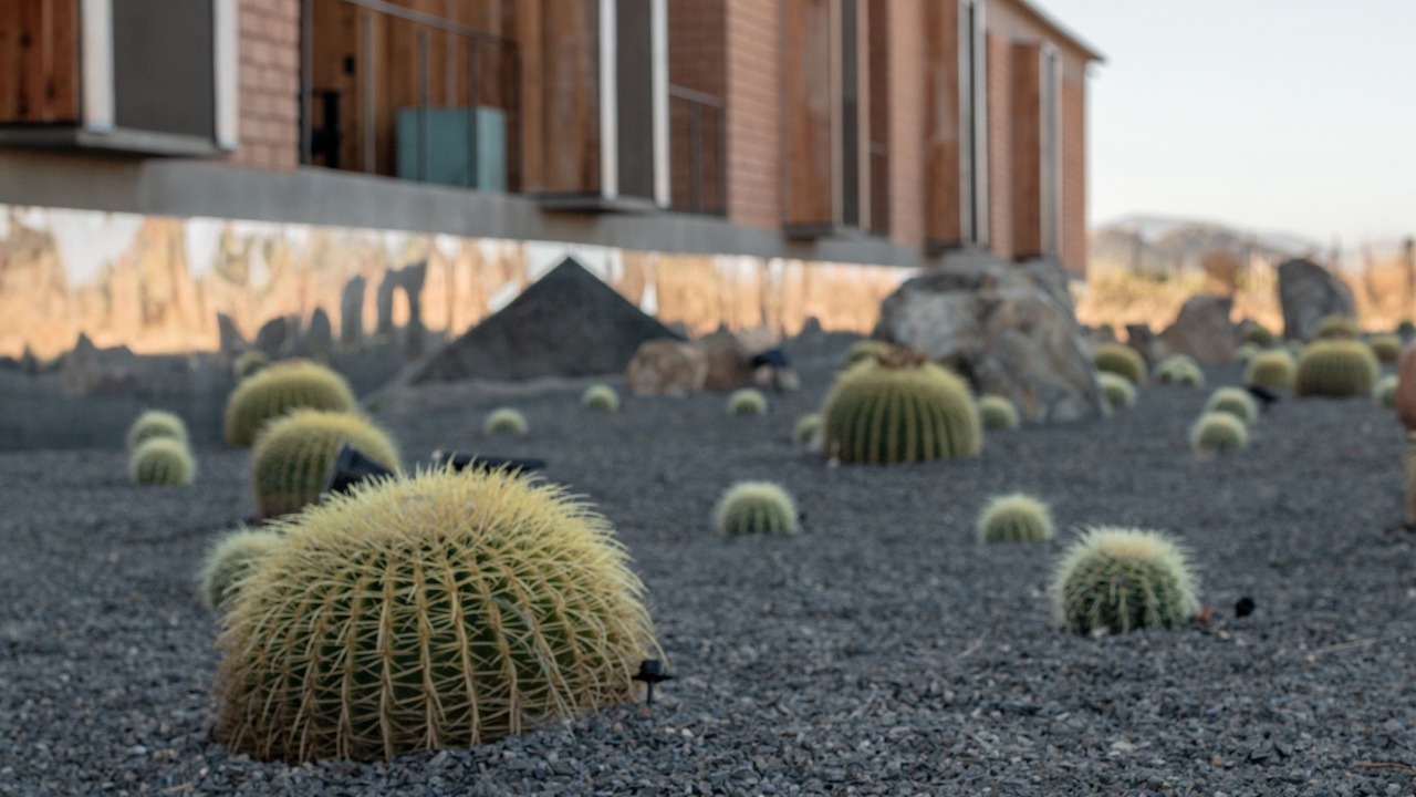 Photo of Outdoor in Valle de Guadalupe