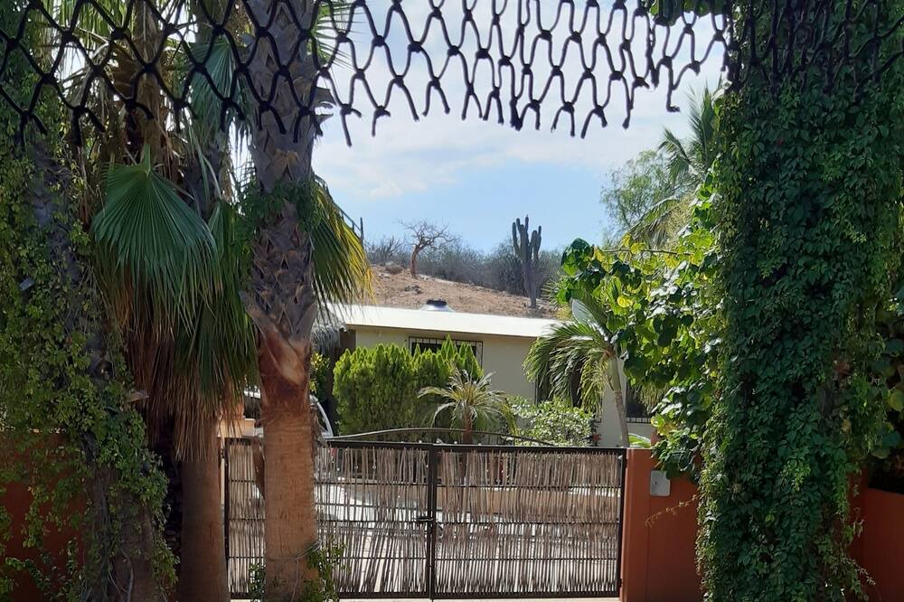 Photo of Outdoor in Buenavista