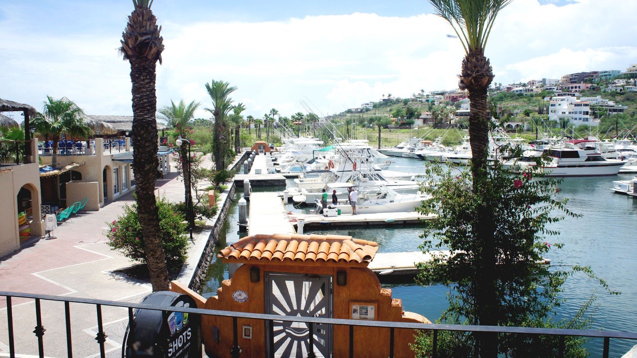 Photo of Outdoor in San Carlos