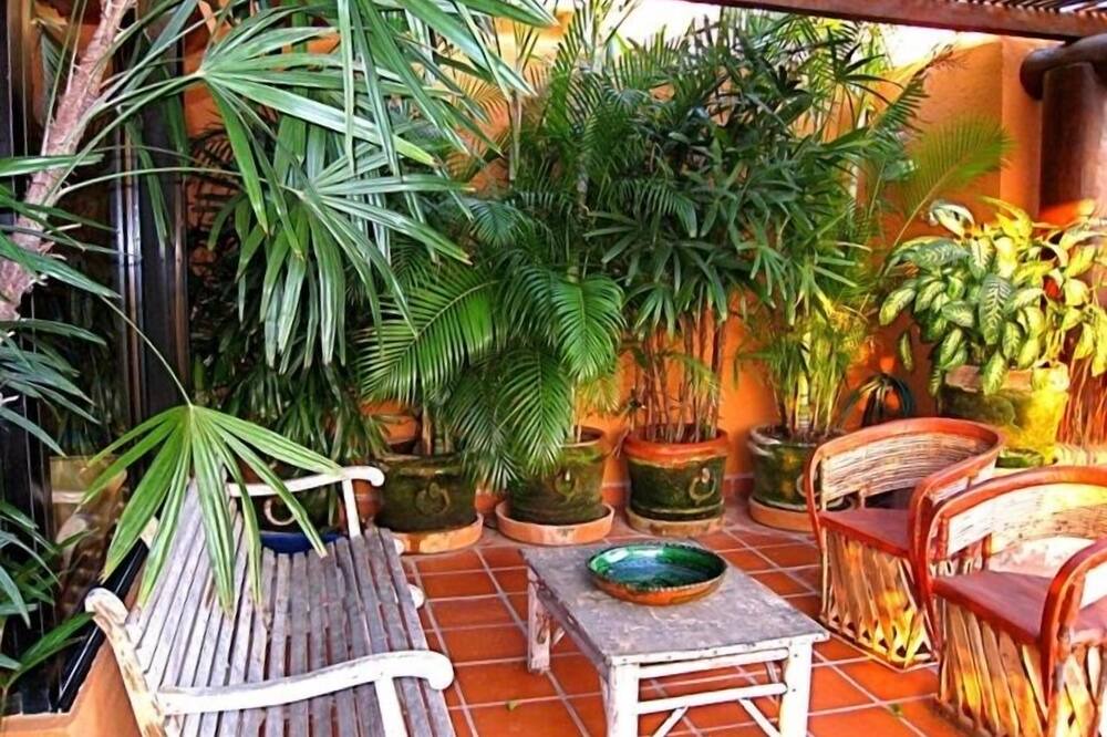 Photo of Outdoor in Playa Las Gatas