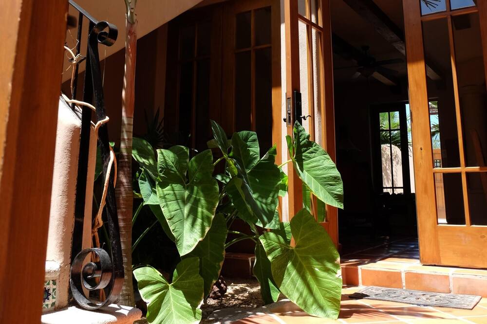 Photo of Outdoor in Puerto Escondido