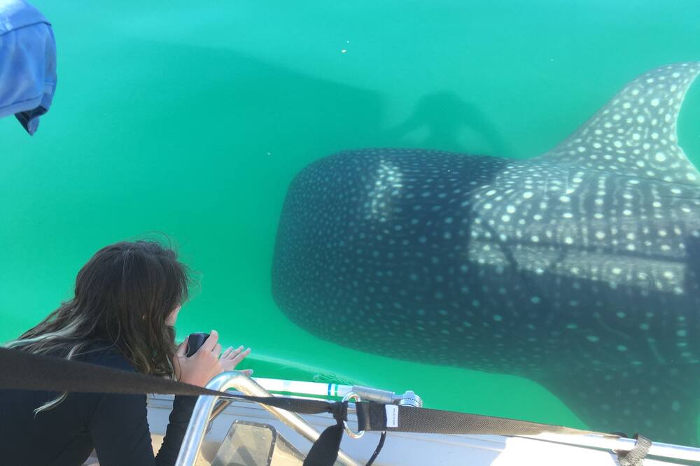 Photo of Others in Puerto Escondido
