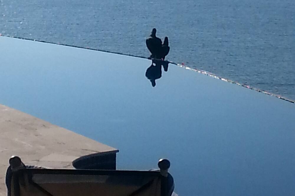 Photo of Others in La Punta