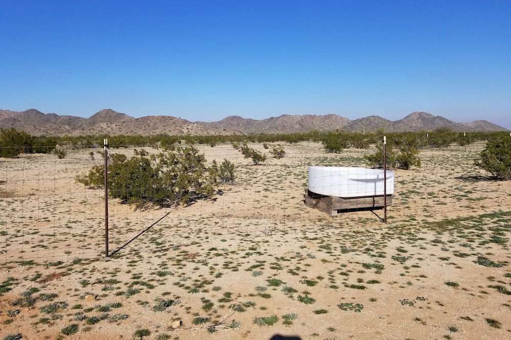 Photo of Others in Maricopa