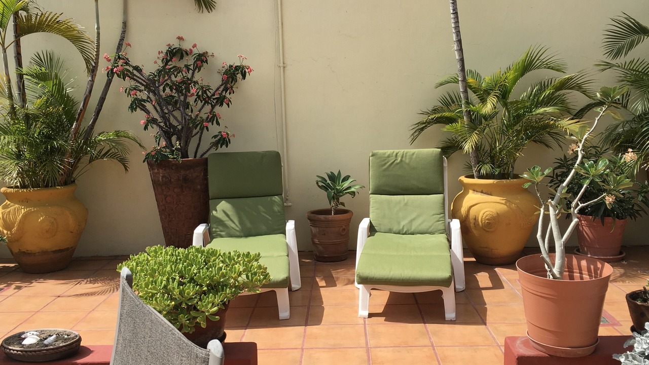 Photo of Patio Balcony in Ajijic