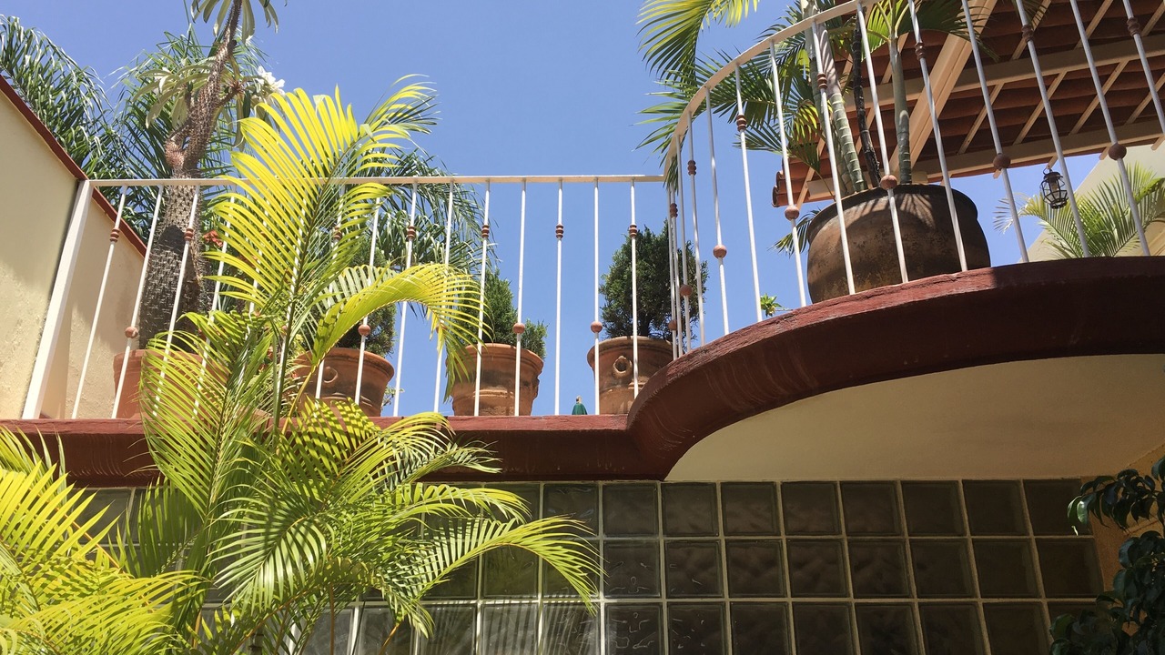 Photo of Outdoor in Ajijic