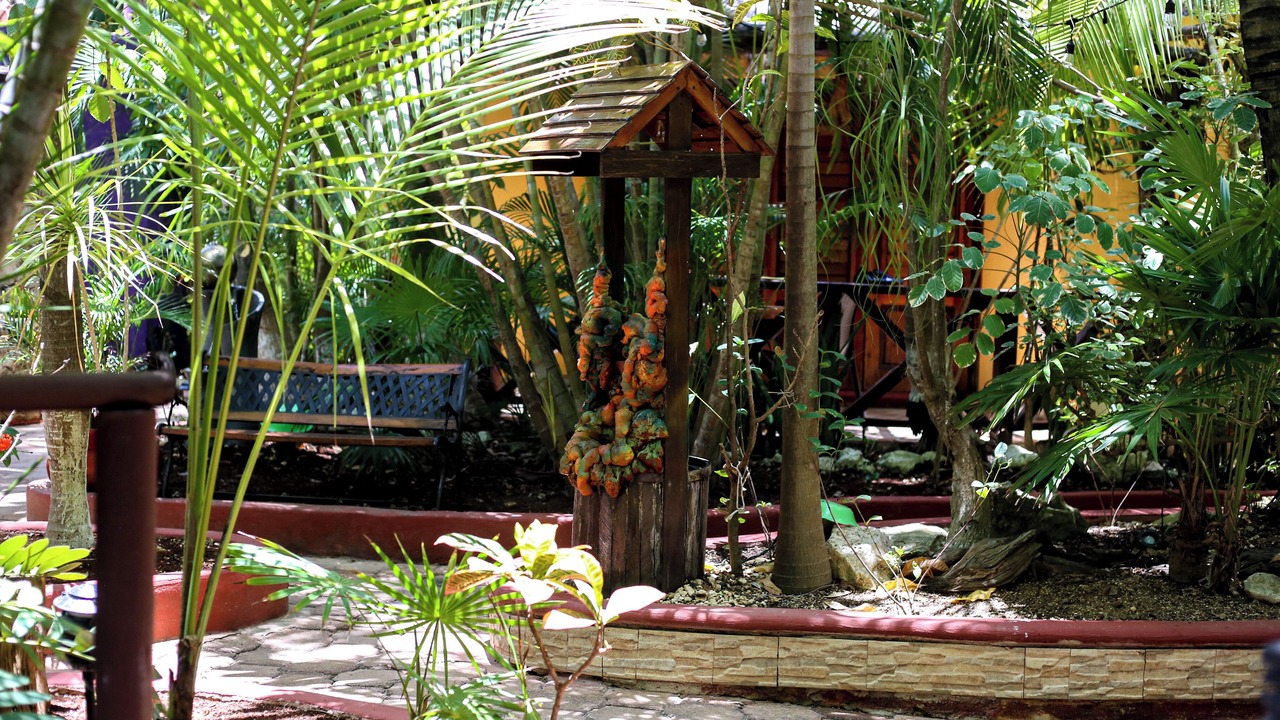 Photo of Outdoor in Villa Juarez