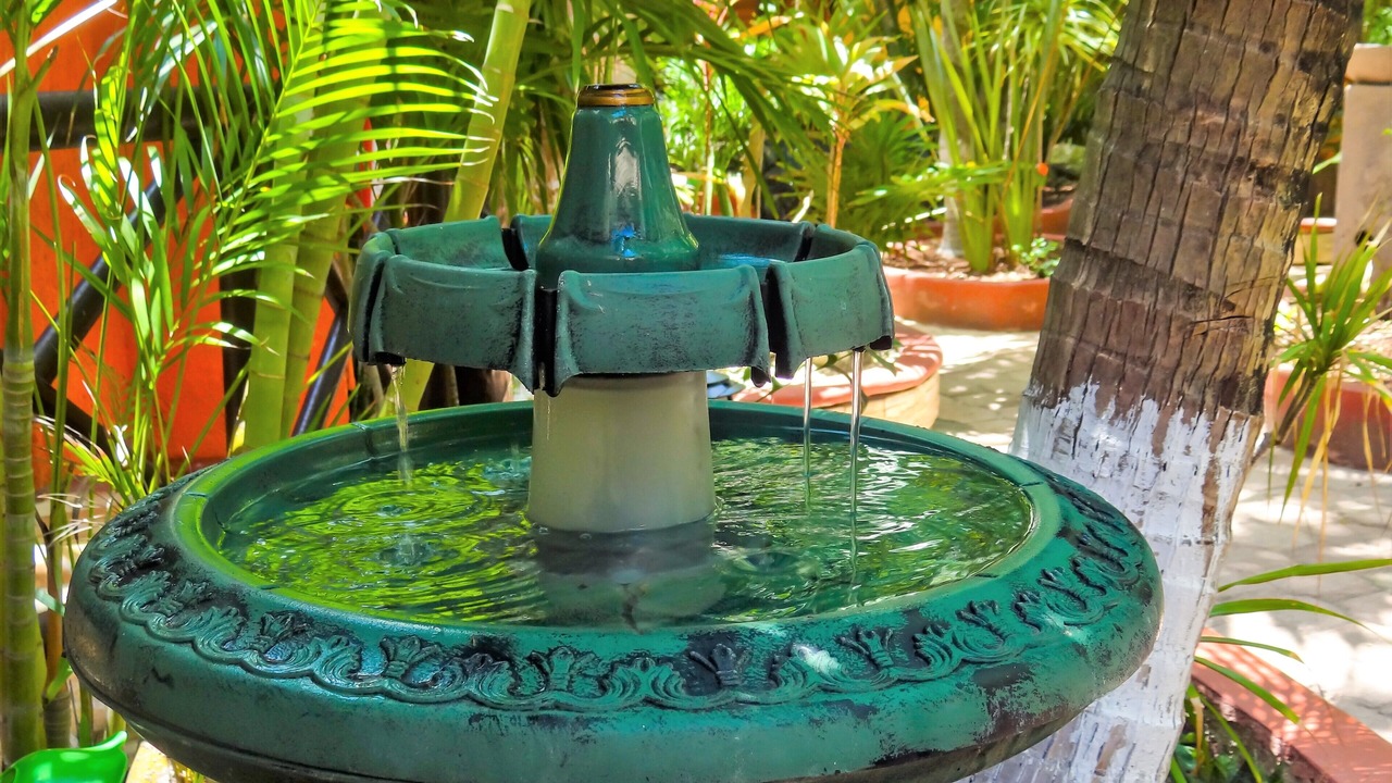 Photo of Outdoor in Villa Juarez
