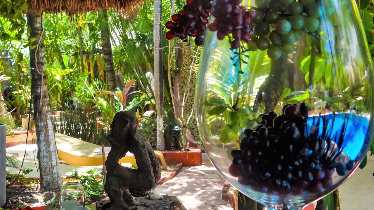 Photo of Outdoor in Villa Juarez