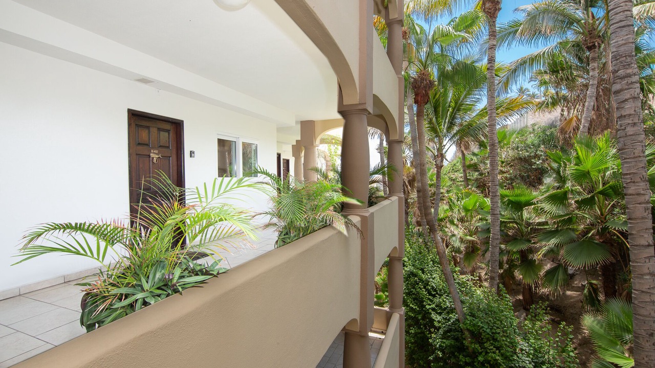Photo of Outdoor in San Jose del Cabo