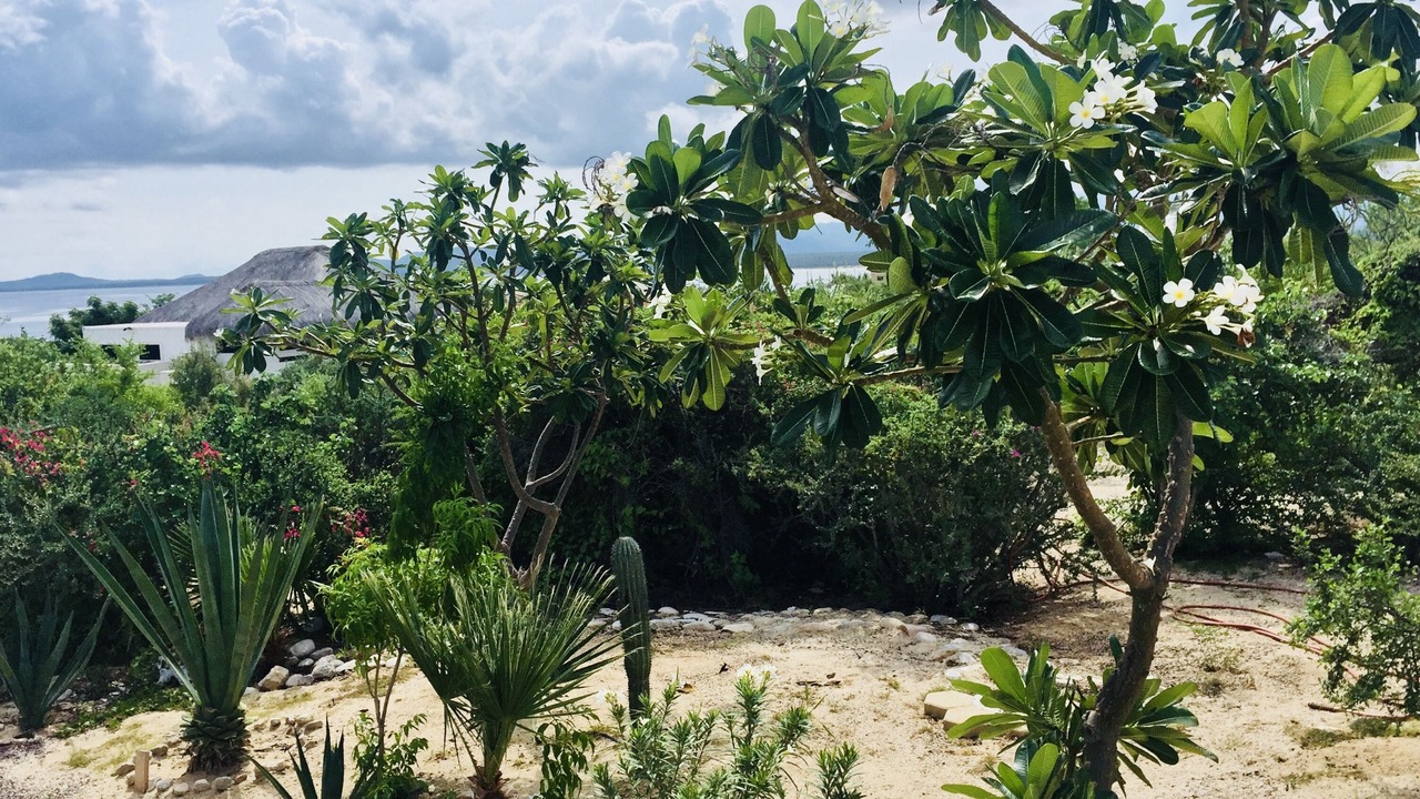 Photo of Outdoor in La Ventana