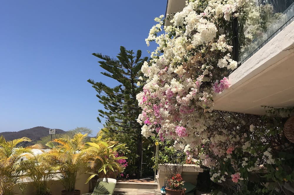 Photo of Outdoor in Zihuatanejo