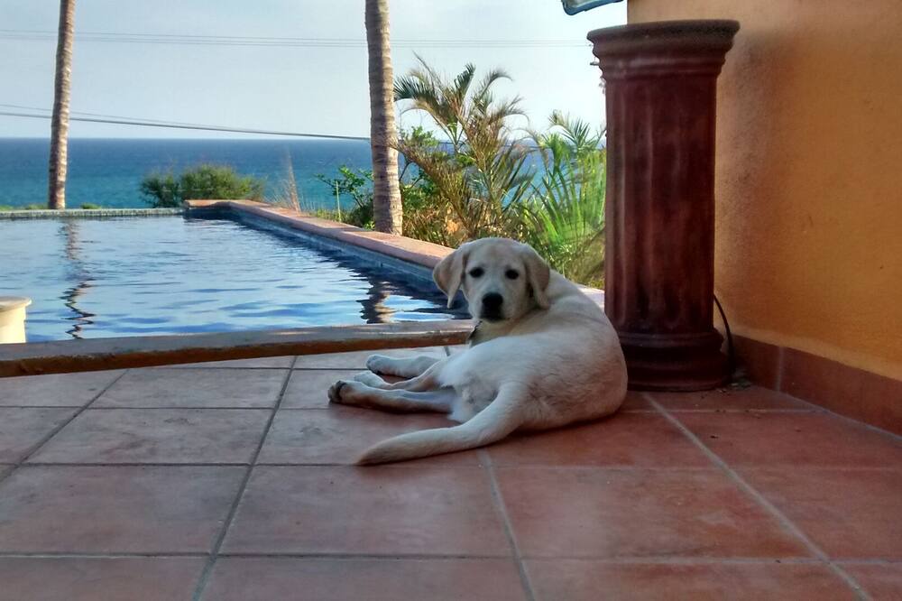 Photo of Others in San Jose del Cabo