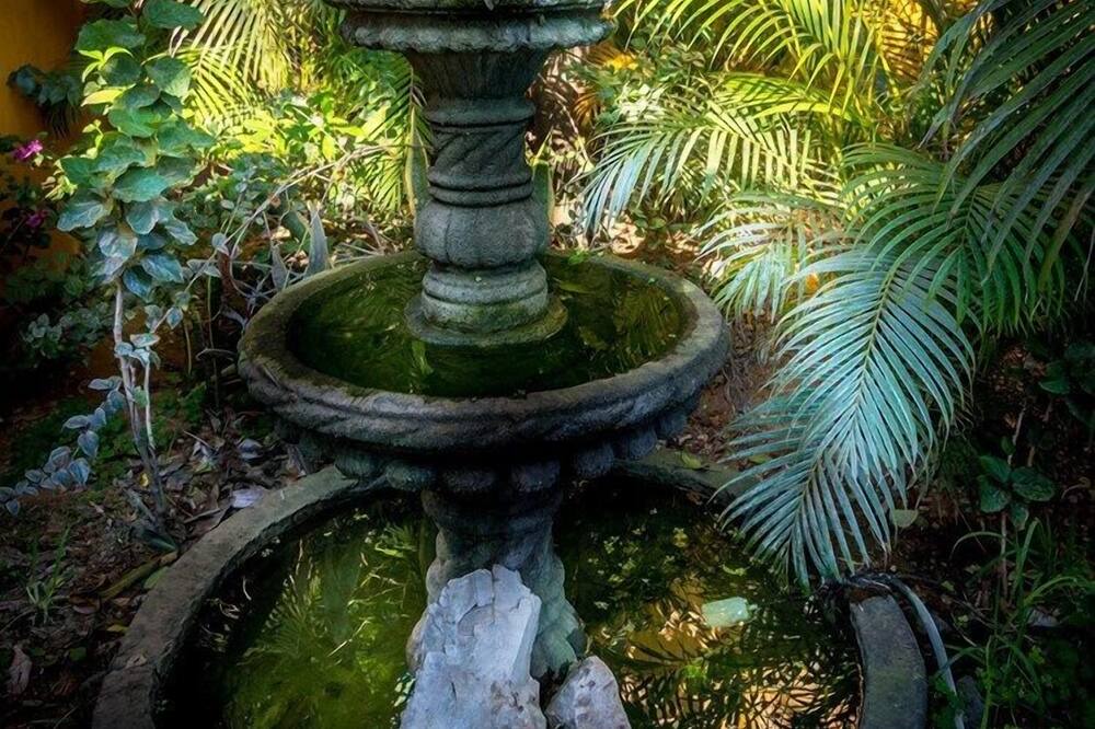 Photo of Outdoor in San Jose del Cabo