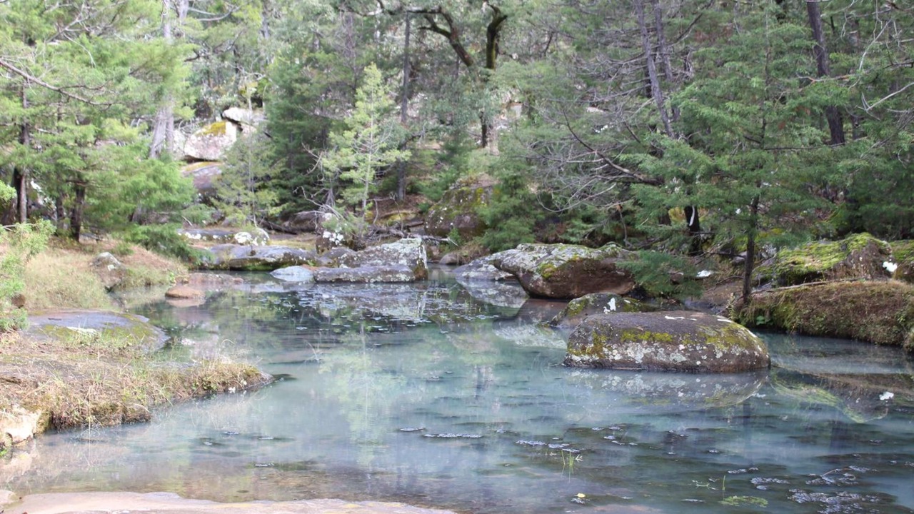 Photo of Outdoor in Cerocahui