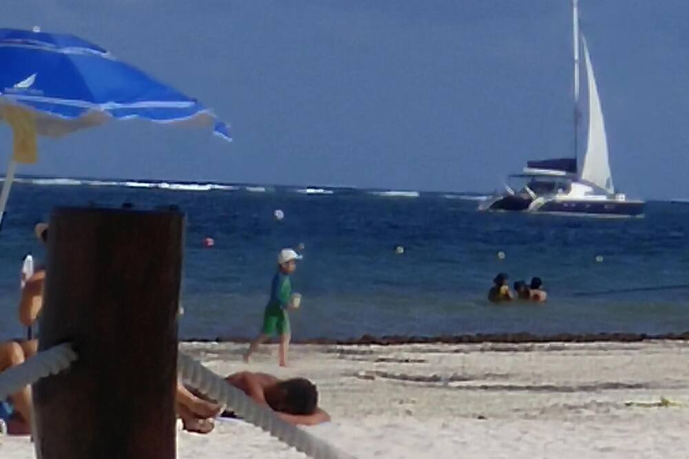 Photo of Others in Puerto Morelos