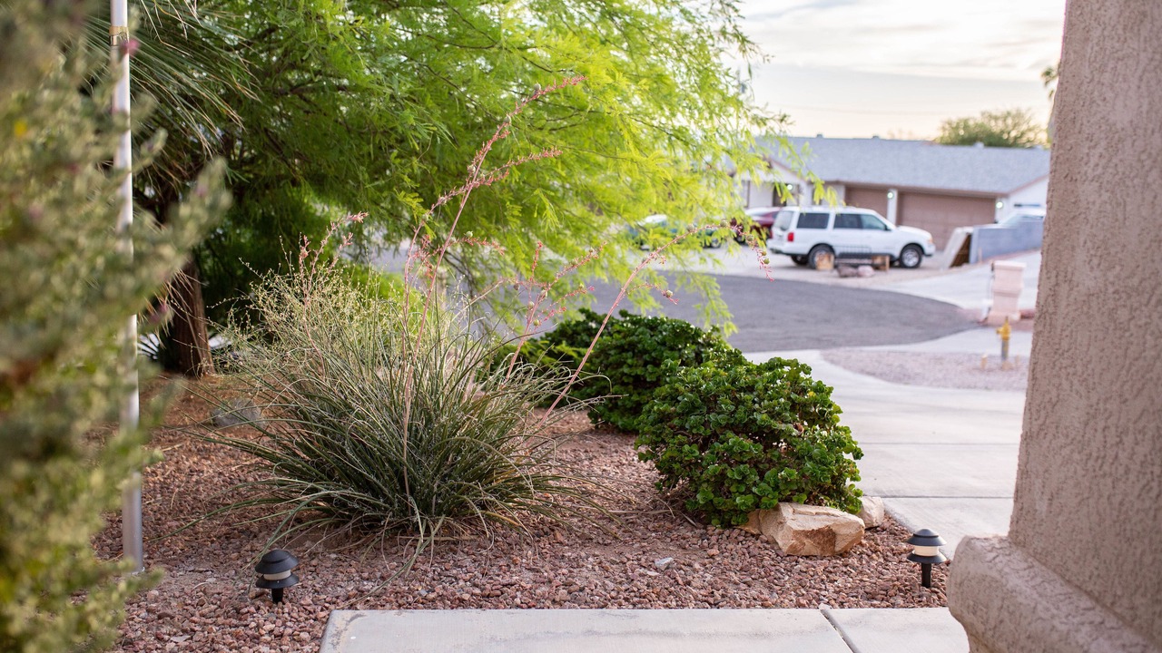 Photo of Outdoor in Lake Havasu City