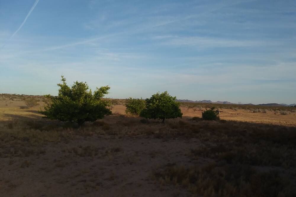 Photo of Outdoor in Tonopah