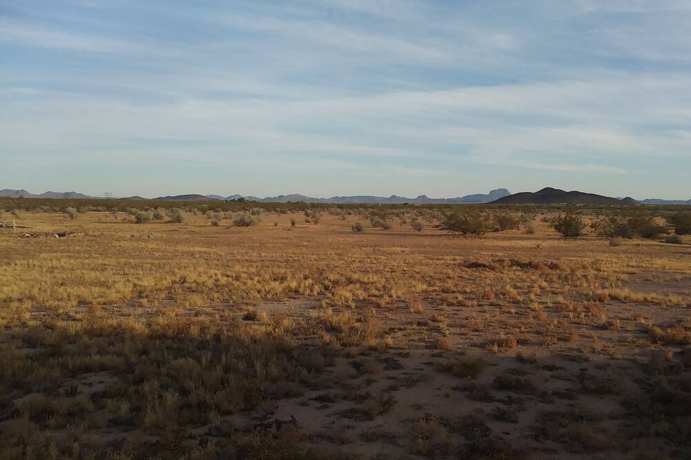 Photo of Others in Tonopah