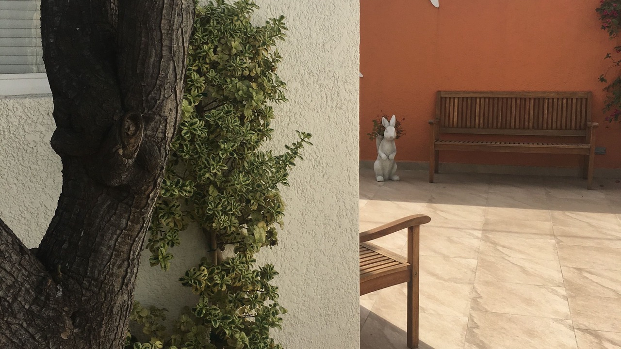 Photo of Others in Playas de Tijuana
